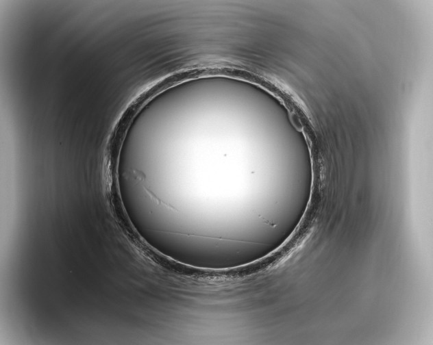 X0000096960973200802221339