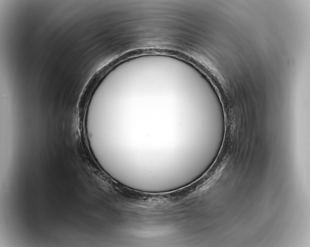 X0000096960974200802221339