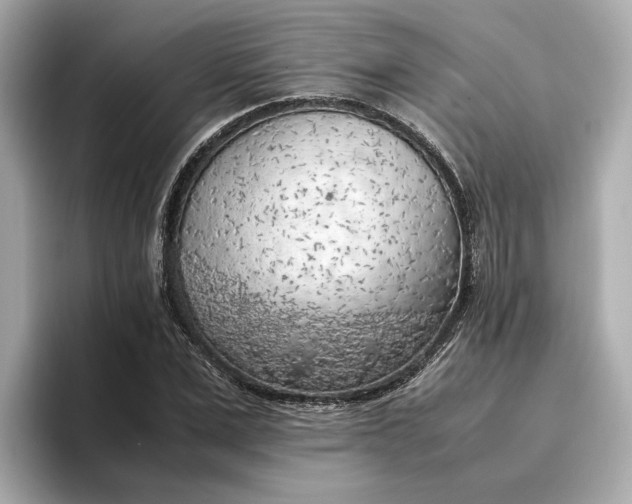 X0000096960975200802221339