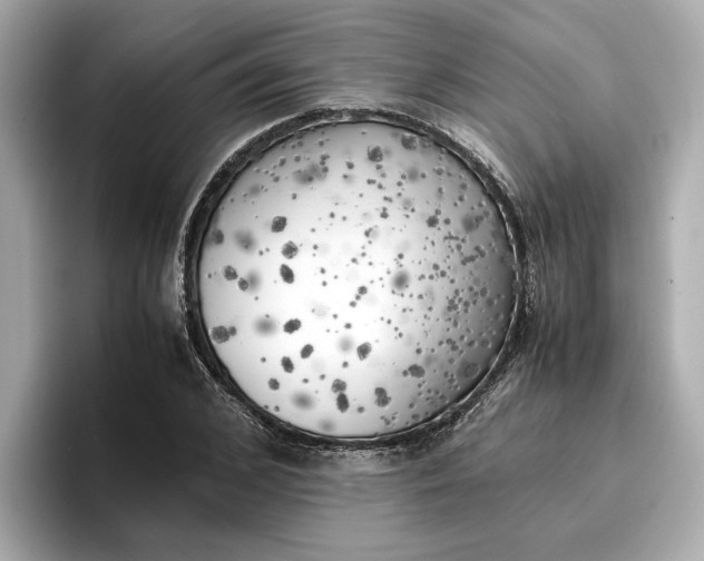 X0000096960976200802221339