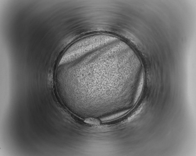 X0000096960977200802221339