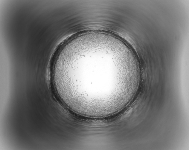 X0000096960979200802221339