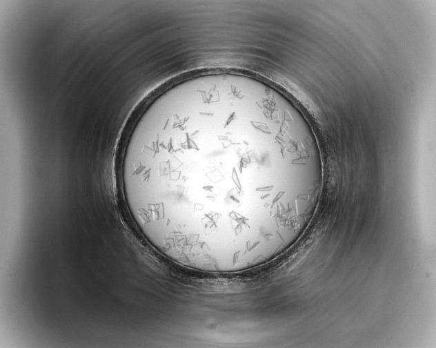 X0000096960980200802221339