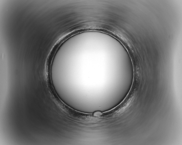 X0000096960981200802221339