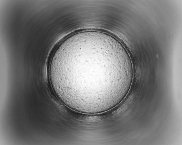 X0000096960982200802221339