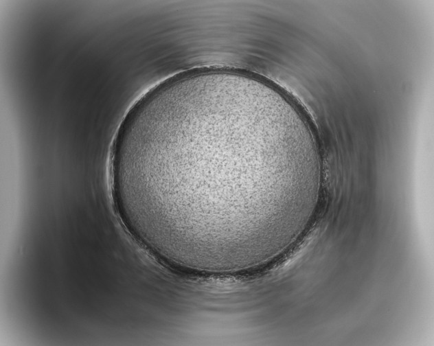 X0000096960983200802221339