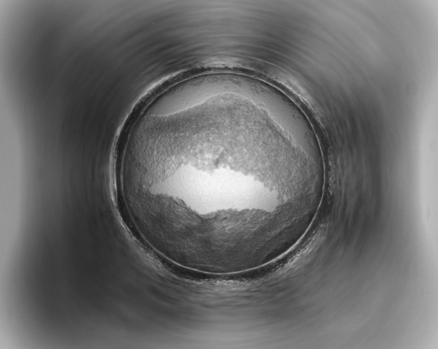 X0000096960984200802221339