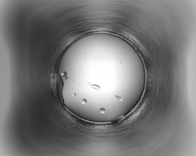 X0000096960985200802221339