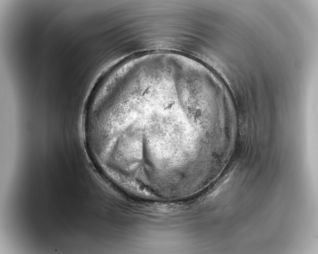 X0000096960987200802221339