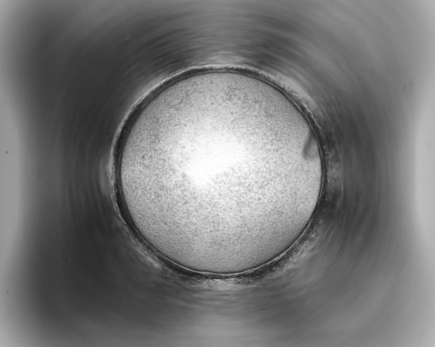 X0000096960990200802221338