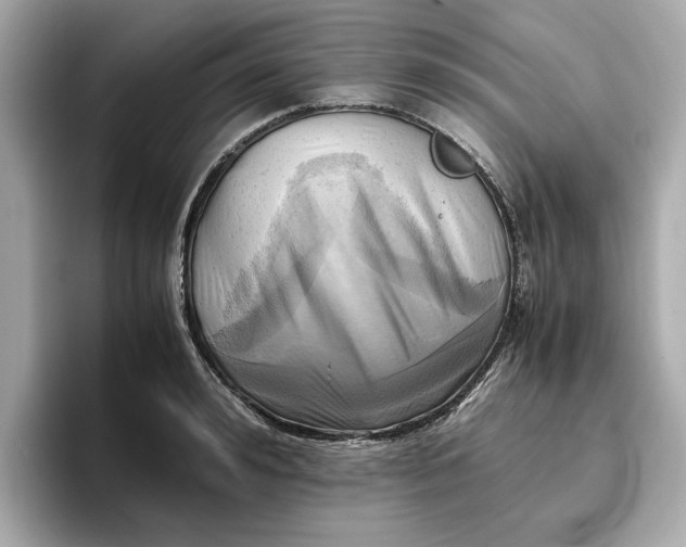 X0000096960992200802221338