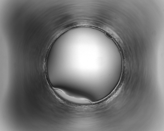 X0000096960993200802221338