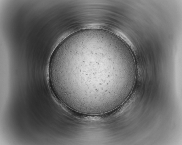 X0000096960994200802221338