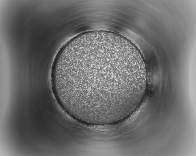 X0000096960995200802221338