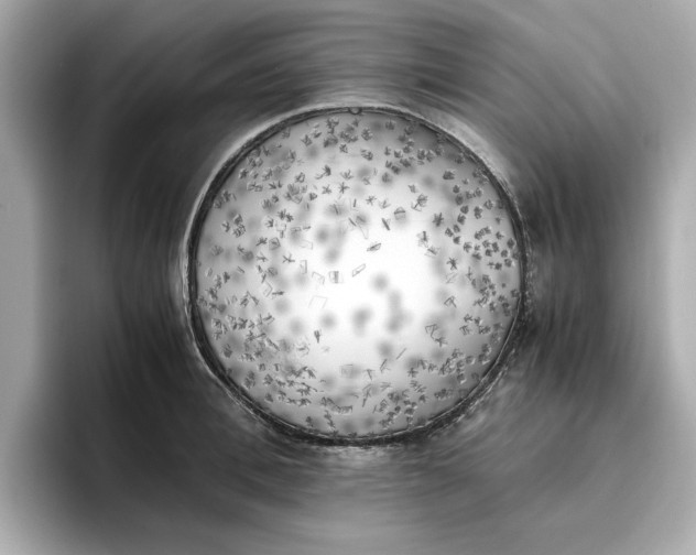 X0000096960996200802221338