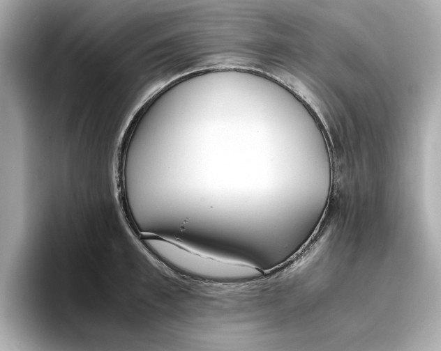 X0000096960997200802221338