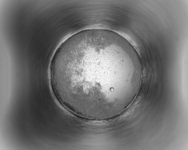 X0000096960998200802221338