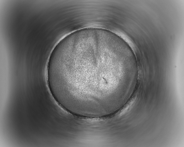 X0000096960999200802221338