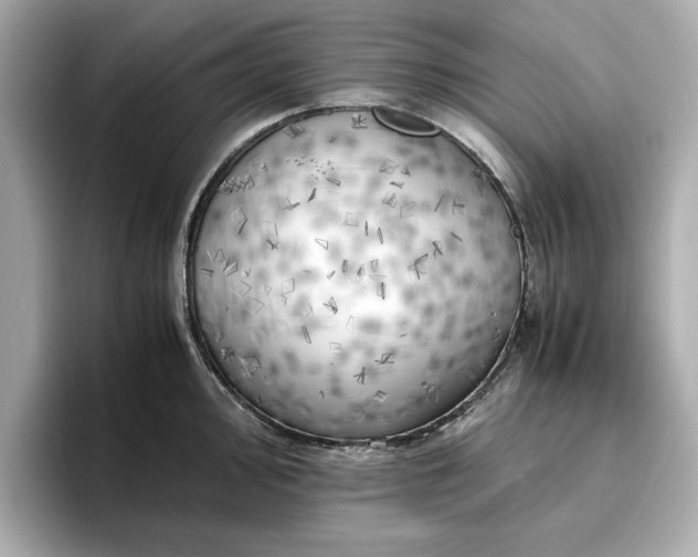 X0000096961000200802221338