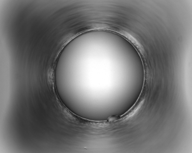 X0000096961001200802221338