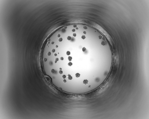 X0000096961002200802221338