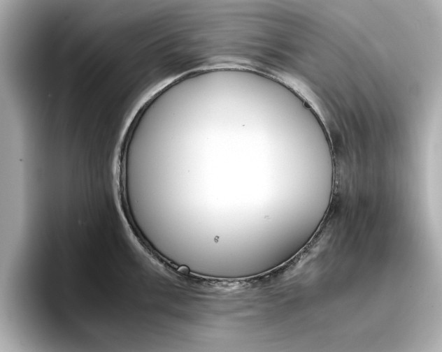 X0000096961003200802221338