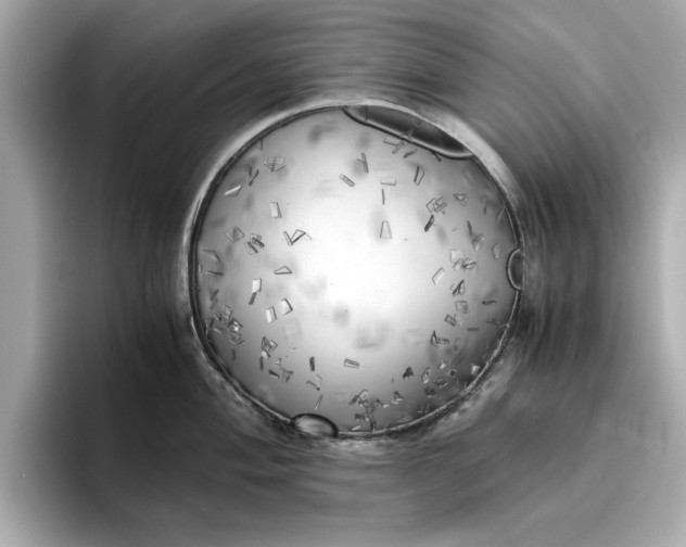 X0000096961004200802221338