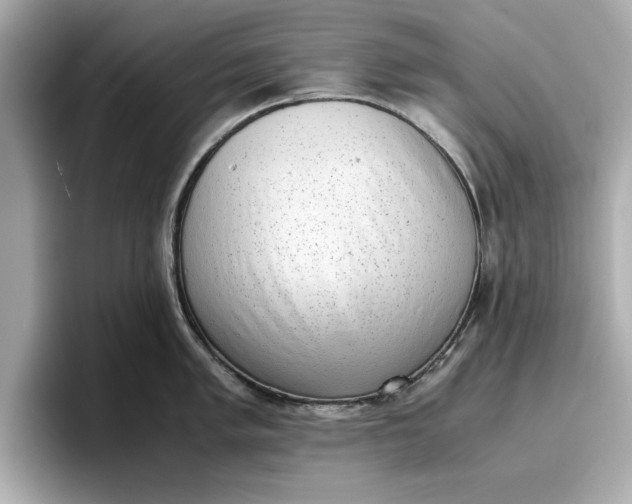 X0000096961005200802221338