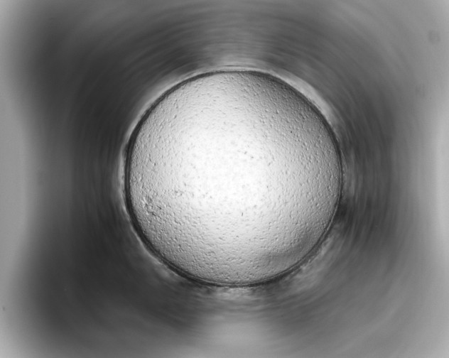 X0000096961006200802221338