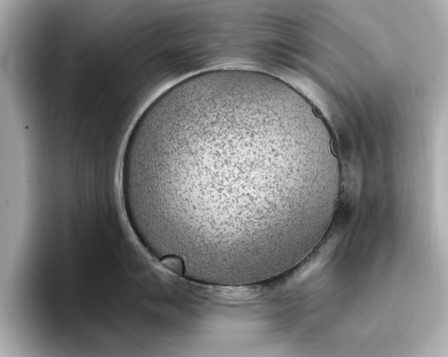 X0000096961007200802221338