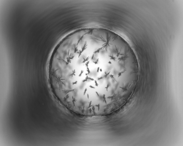 X0000096961008200802221338