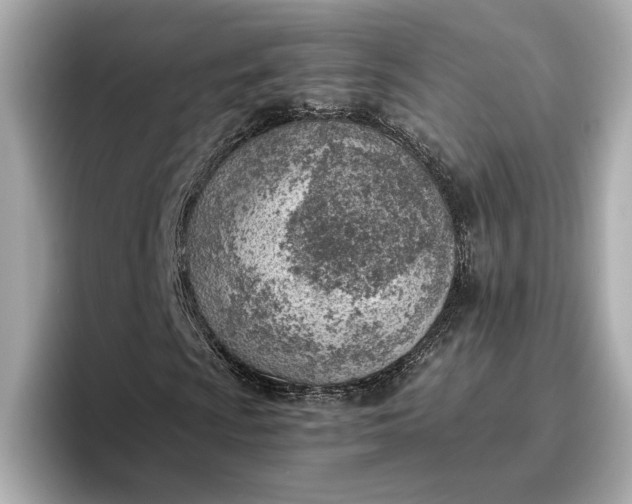 X0000096961009200802221338