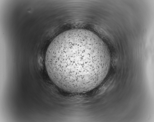 X0000096961010200802221338