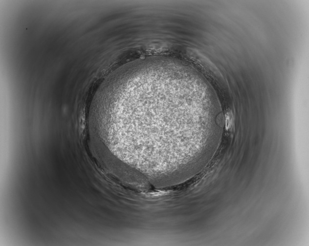 X0000096961011200802221338