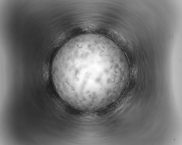 X0000096961012200802221338