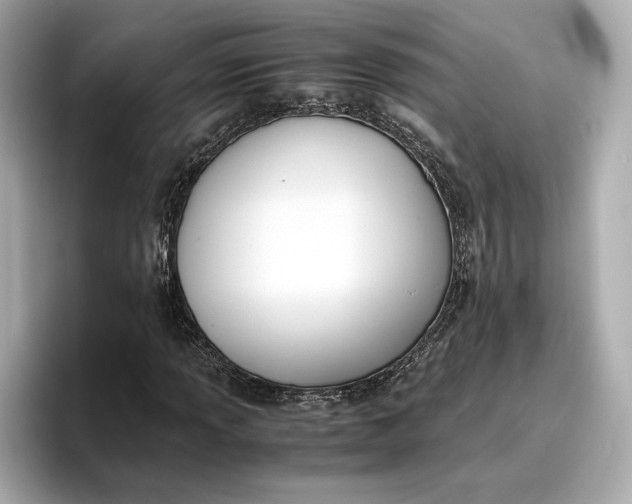 X0000096961013200802221338