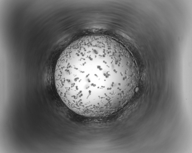 X0000096961014200802221338