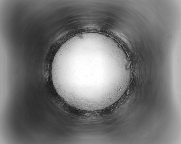 X0000096961015200802221338