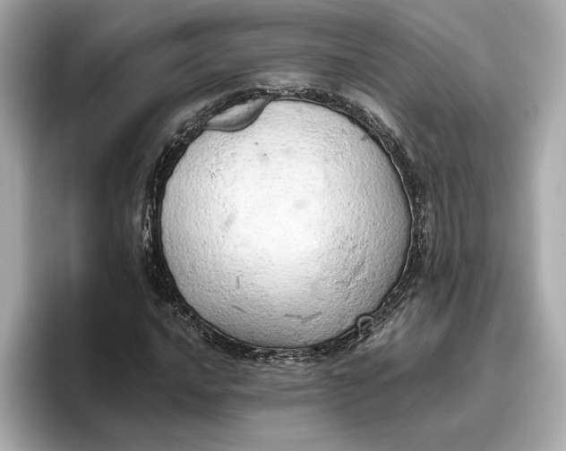 X0000096961016200802221338