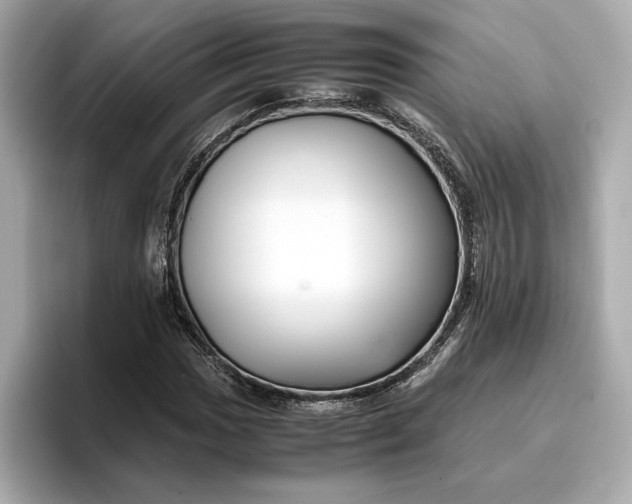 X0000096961017200802221338