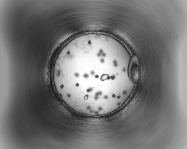 X0000096961018200802221338