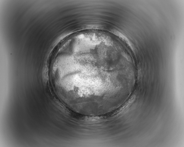 X0000096961019200802221338