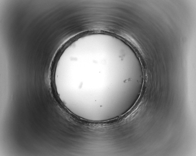 X0000096961020200802221338