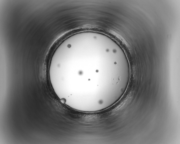 X0000096961021200802221338