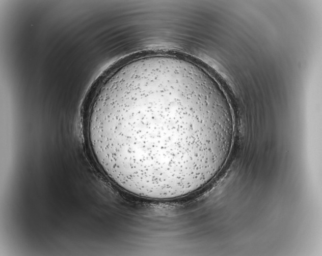 X0000096961022200802221338