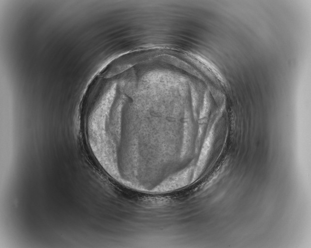 X0000096961023200802221338