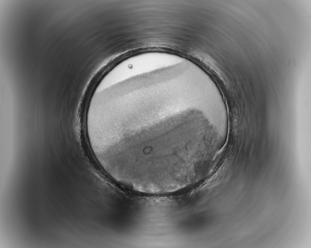 X0000096961024200802221338