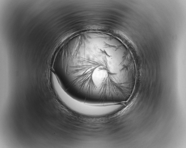 X0000096961025200802221338