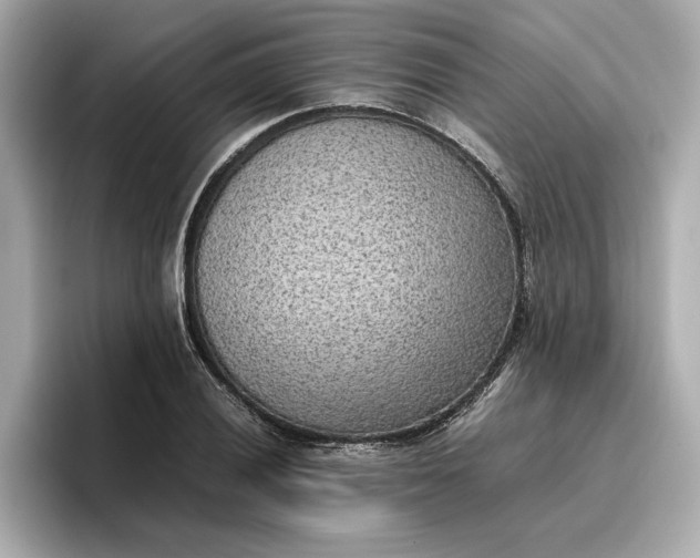 X0000096961028200802221338