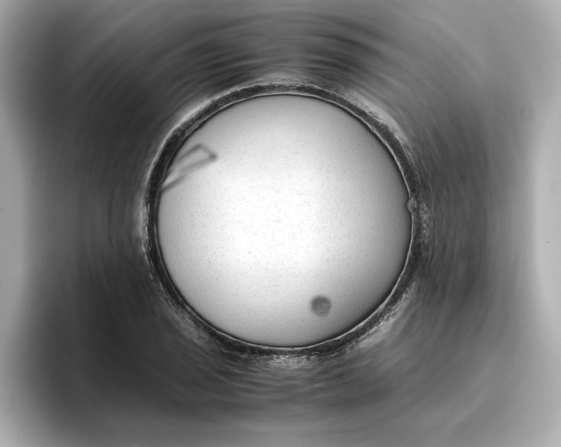 X0000096961029200802221338